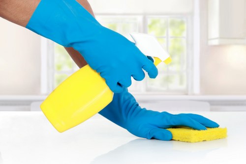 Local home cleaning service for Ruislip family properties