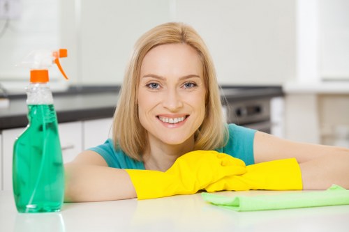 Quotation planning for oven cleaning in a home kitchen