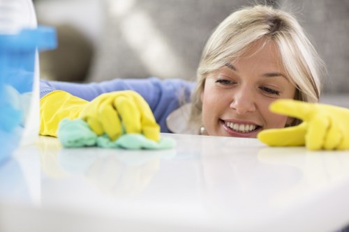 Supplier audit and compliance review for oven cleaning operations