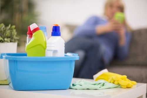 Professional domestic cleaning for a home near South Ruislip