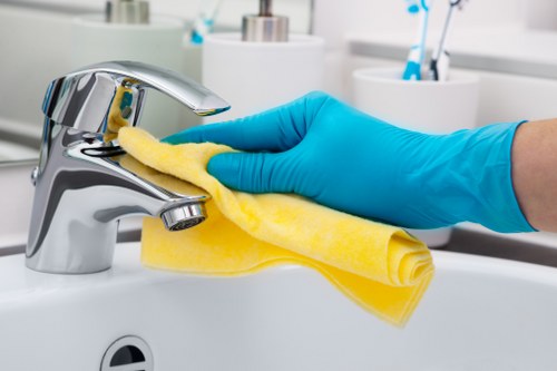Professional cleaning team serving Ruislip and nearby areas