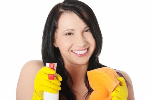 Carpet cleaning preparation and stain treatment in Ruislip