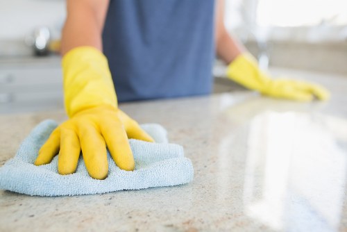 Deep cleaning a double oven with transparent rates