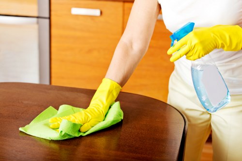 Office cleaner maintaining desks and communal spaces